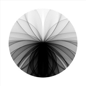 icircle: 1195