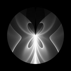 icircle: 2198