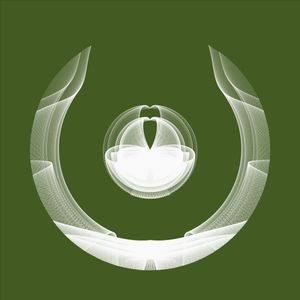 icircle: 2138