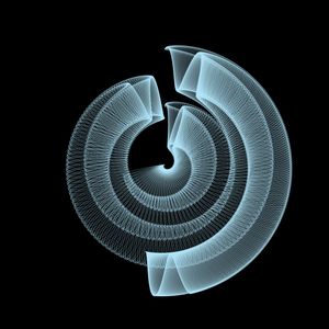 icircle: 1198