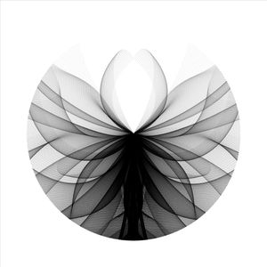 icircle: 2029