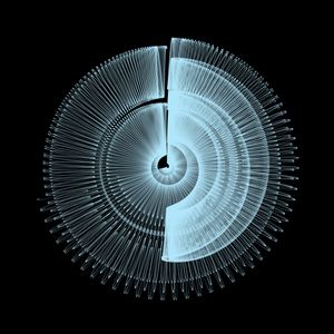 icircle: 1351